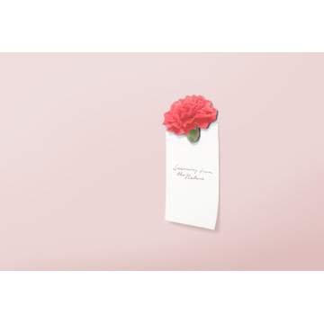 Μαγνητάκια ψυγείου Leaf Carnation Appree Μαγνητάκια ψυγείου Leaf Carnation Appree