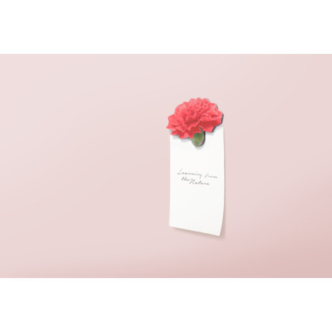 Μαγνητάκια ψυγείου Leaf Carnation Appree