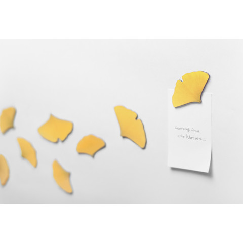 Μαγνητάκια ψυγείου Leaf Appree