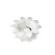 Διαχωριστής αυγού Daisy Peleg Design