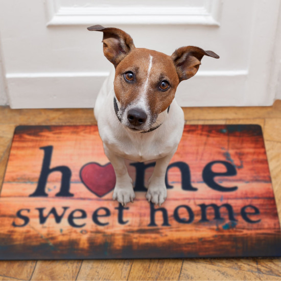 Χαλάκι πόρτας "Home Sweet Home" Relaxdays Germany
