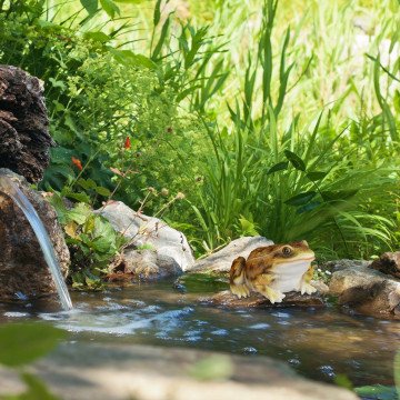 Διακοσμητικό ζωάκι κήπου Βάτραχος Relaxdays Διακοσμητικό ζωάκι κήπου Βάτραχος Relaxdays