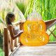 Παγίδες για σφήκες σετ 2τεμ Orange Relaxdays