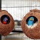 Birdhouse Coconut κρεμαστό Relaxdays