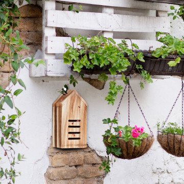 Ξενοδοχείο εντόμων "Ladybug house" Ξενοδοχείο εντόμων "Ladybug house"