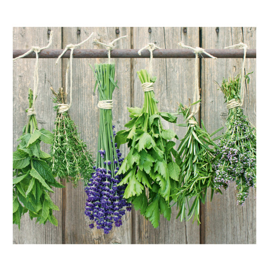 Κάλυμμα τοίχου κουζίνας / Προστασία κεραμικών εστιών "Herbs" Zeller